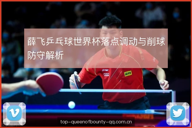薛飞乒乓球世界杯落点调动与削球防守解析